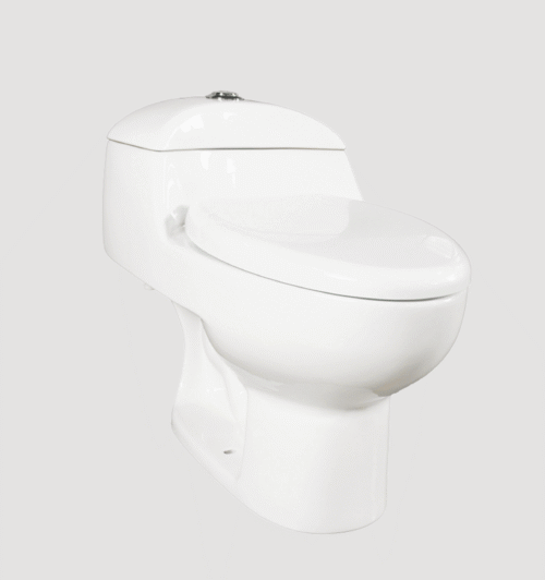 SANITARIO ECO DESTINY BLANCO