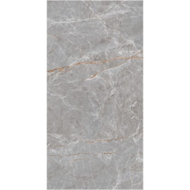 BAUHAUS-B 9MM 120*240 GRIS
