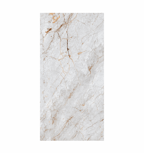 DINANT-B 60*120 GRIS